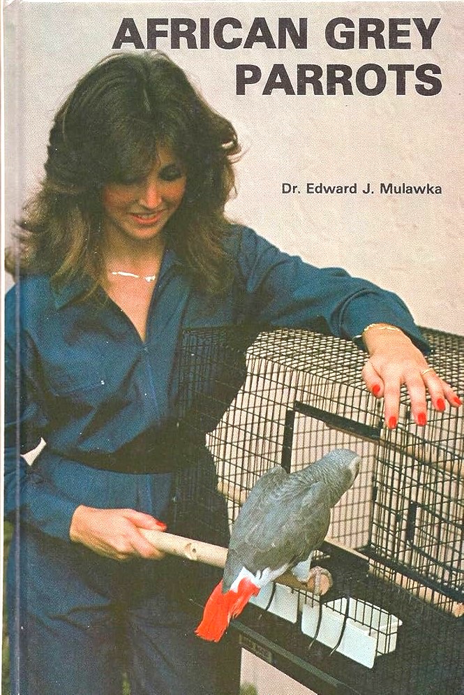 African Grey Parrots by Edward J. Mulawka