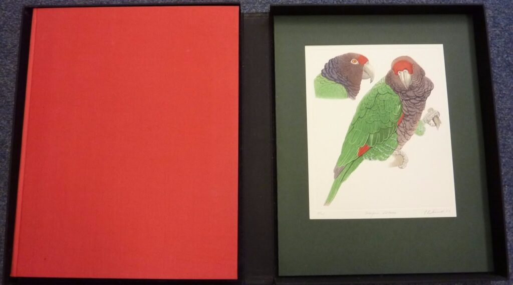 Amazon Parrots : A Monograph by Elizabeth Butterworth & Rosemary Low