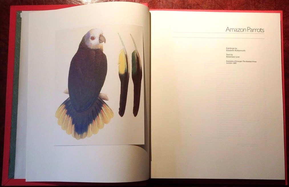 Amazon Parrots : A Monograph by Elizabeth Butterworth & Rosemary Low
