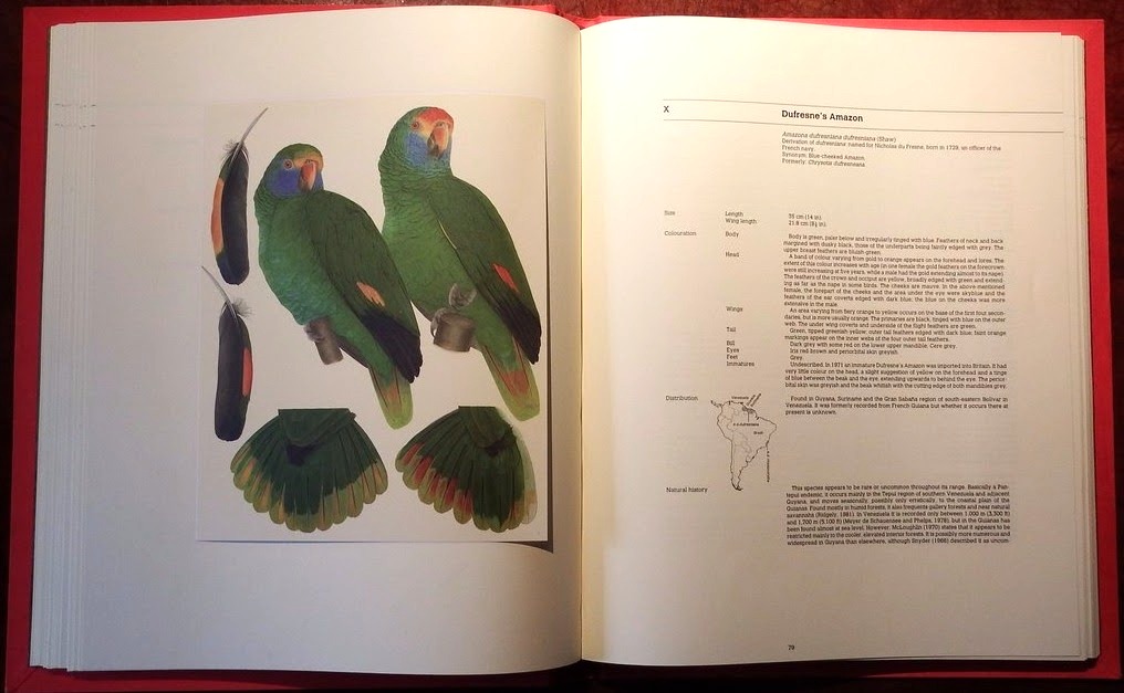 Amazon Parrots : A Monograph by Elizabeth Butterworth & Rosemary Low