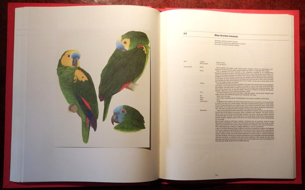 Amazon Parrots : A Monograph by Elizabeth Butterworth & Rosemary Low