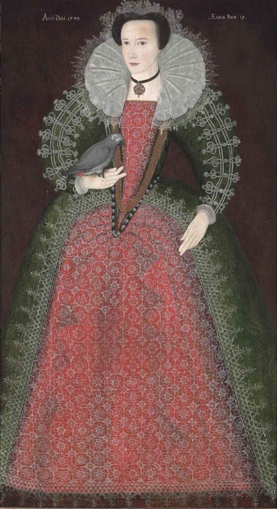 English lady holding a parrot in a 1592 Renaissance portrait, illustrating exotic pet birds among the elite