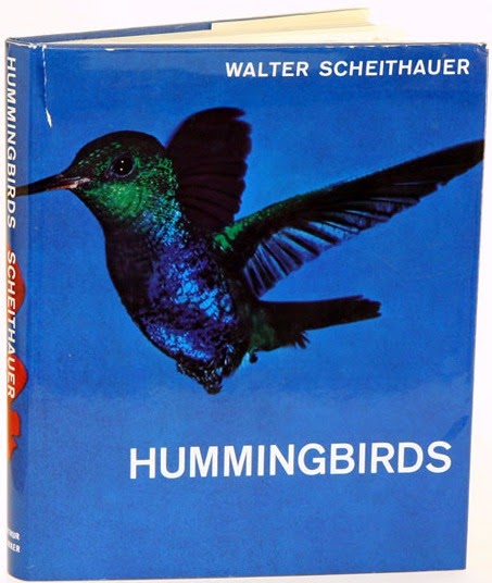 Hummingbirds – Flying Gemstones by Walter Scheithauer