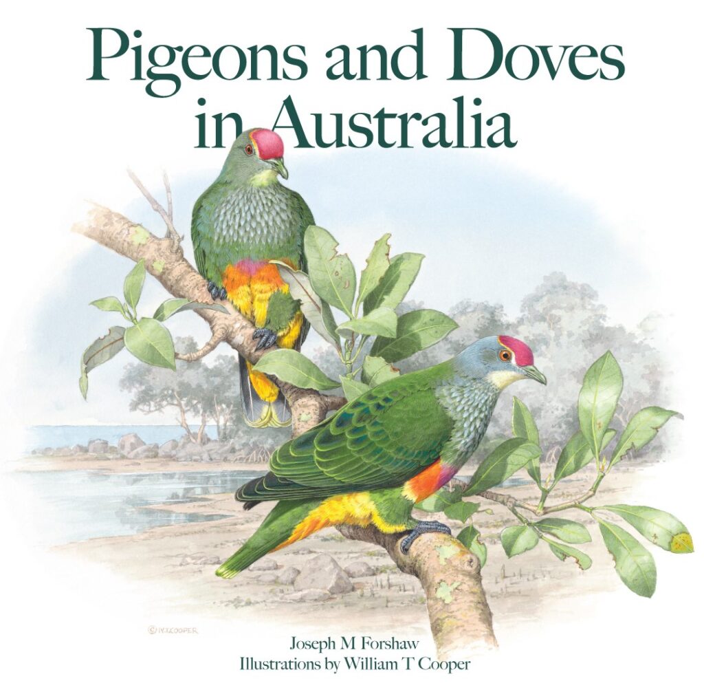Pigeons and Doves in Australia by Joseph M. Forshaw & William T. Cooper