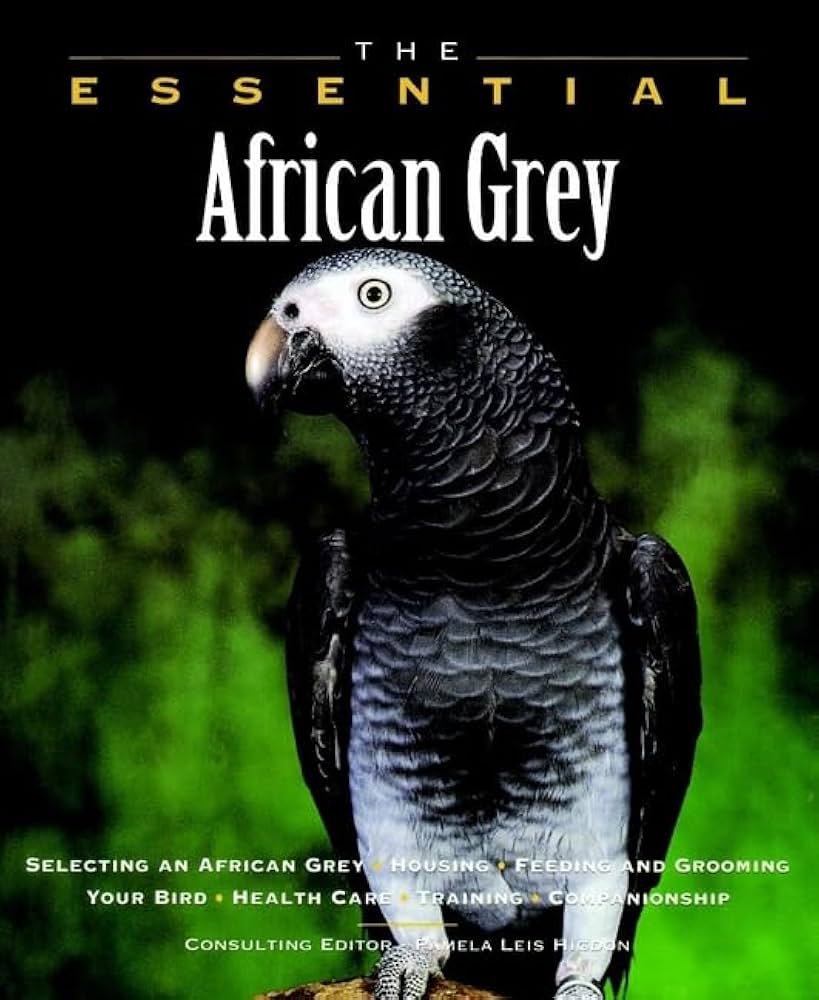 The Essential African Grey by Pamela Leis Higdon