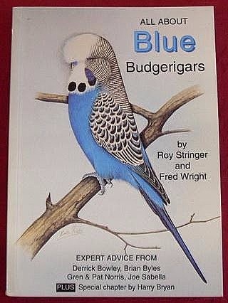 All About Blue Budgerigars by Roy Stringer & Fred Wright
