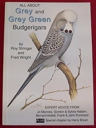 All About Grey and Grey Green Budgerigars by Roy Stringer & Fred Wright