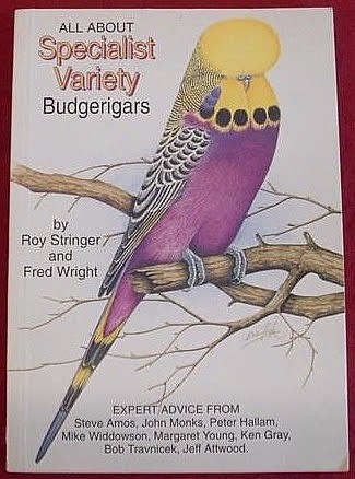 All About Specialist Variety Budgerigars by Roy Stringer & Fred Wright