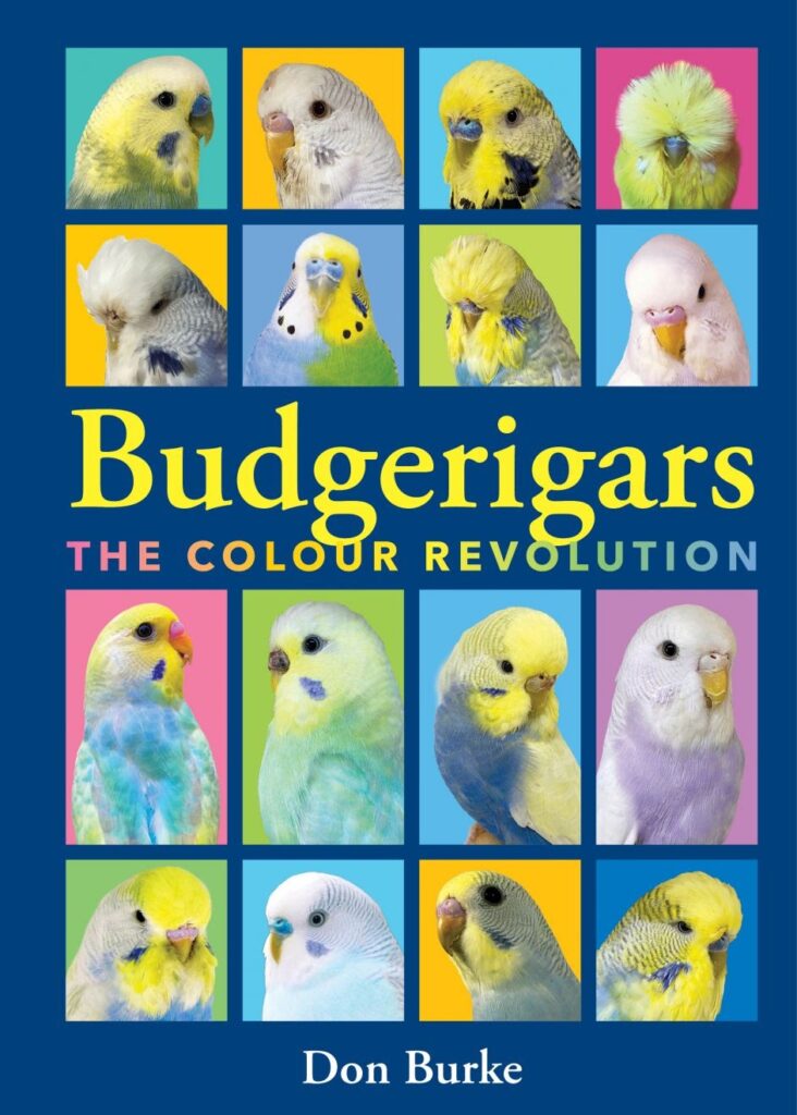 Budgerigars The Colour Revolution by Don Burke