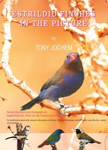 Estrildid Finches in the Picture by Tony Jochem