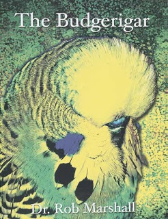 The Budgerigar by Dr. Rob Marshall