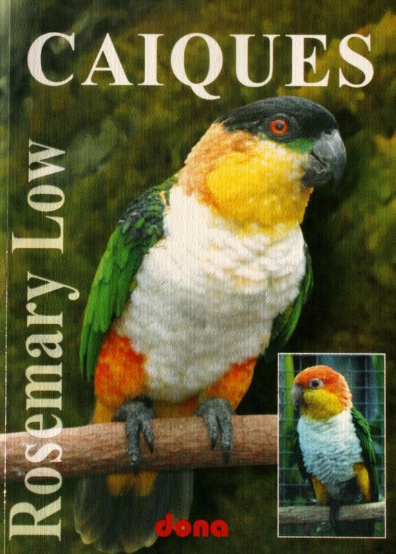 Caiques by Rosemary Low